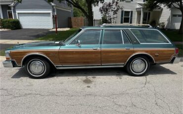 Dodge-Diplomat-1979-Green-Green-4