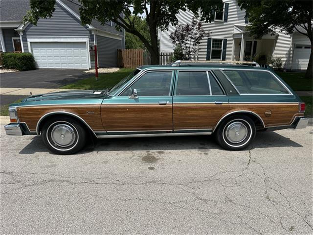 Dodge-Diplomat-1979-Green-Green-4