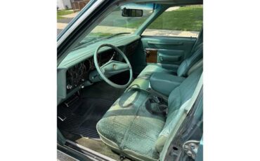 Dodge-Diplomat-1979-Green-Green-5
