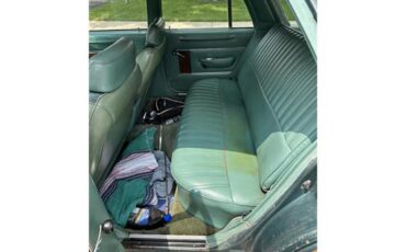 Dodge-Diplomat-1979-Green-Green-6