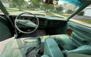 Dodge-Diplomat-1979-Green-Green-7