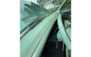 Dodge-Diplomat-1979-Green-Green-8