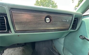 Dodge-Diplomat-1979-Green-Green-9