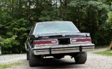 Dodge-Diplomat-1983-Black-12