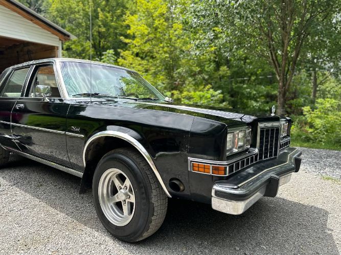 Dodge-Diplomat-1983-Black-13