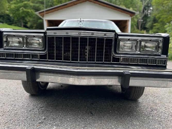 Dodge-Diplomat-1983-Black-5