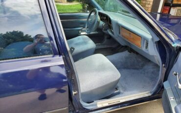 Dodge-Diplomat-1989-Blue-2