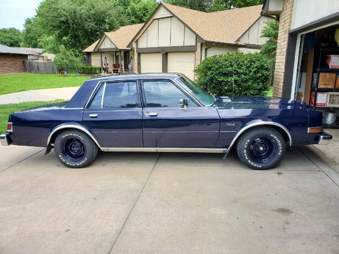 Dodge-Diplomat-1989-Blue