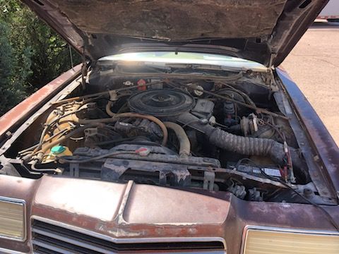 Dodge-Magnum-1979-3