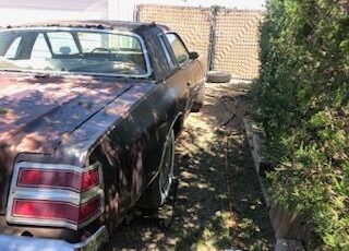 Dodge-Magnum-1979-5