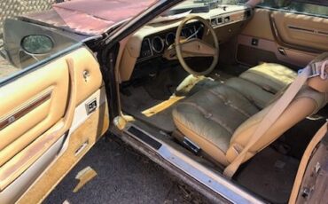 Dodge-Magnum-1979-7