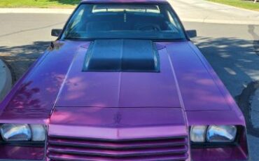 Dodge-Mirada-1980-Medium-Purple-10