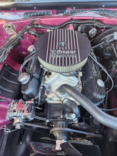 Dodge-Mirada-1980-Medium-Purple-6