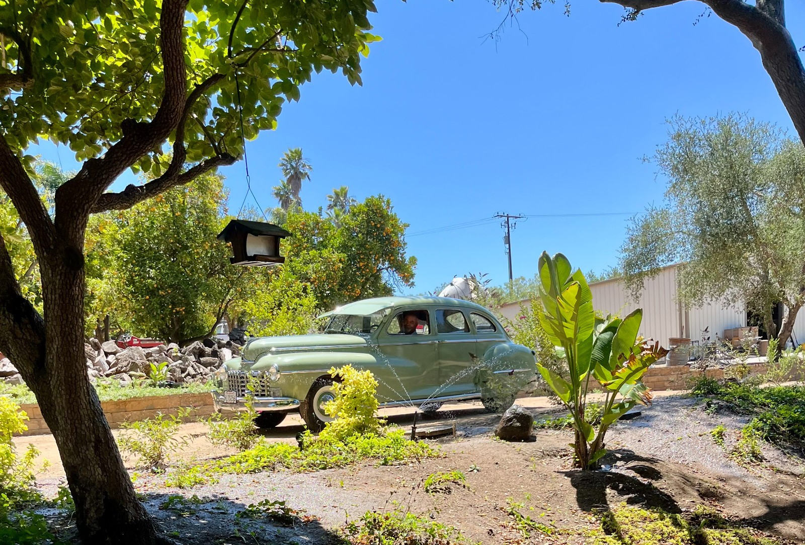 Dodge-Other-1947-Sedan-12