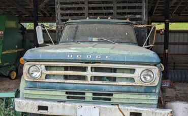 Dodge-Other-1972-2-ton-truck-2