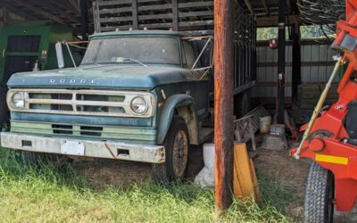 Dodge Other 1972