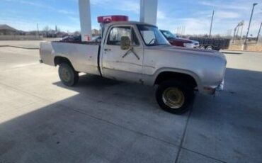 Dodge-Other-1976-Silver-10