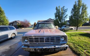 Dodge-Other-1976-Silver-12