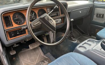 Dodge-Other-1987-SUV-13