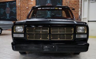 Dodge-Other-1992-Black-Red-12