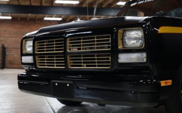 Dodge-Other-1992-Black-Red-4