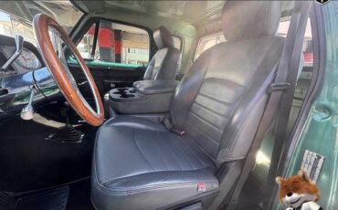 Dodge-Other-Pickups-1978-Pickup-12