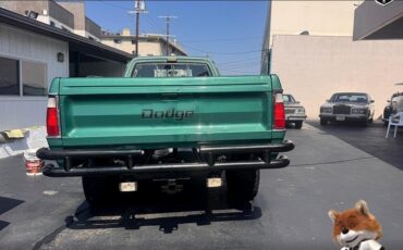 Dodge-Other-Pickups-1978-Pickup-13