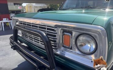 Dodge-Other-Pickups-1978-Pickup-14