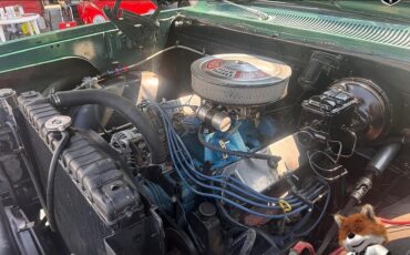 Dodge-Other-Pickups-1978-Pickup-19