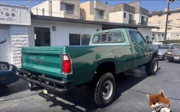 Dodge-Other-Pickups-1978-Pickup-3