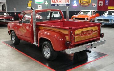 Dodge-Other-Pickups-1979-Pickup-Truck-12