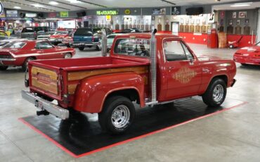 Dodge-Other-Pickups-1979-Pickup-Truck-14