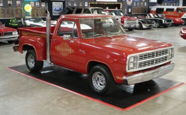 Dodge-Other-Pickups-1979-Pickup-Truck-15