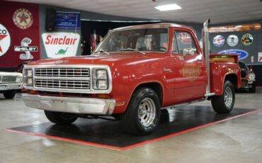 Dodge-Other-Pickups-1979-Pickup-Truck-17