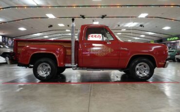 Dodge-Other-Pickups-1979-Pickup-Truck-22