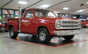 Dodge-Other-Pickups-1979-Pickup-Truck-23