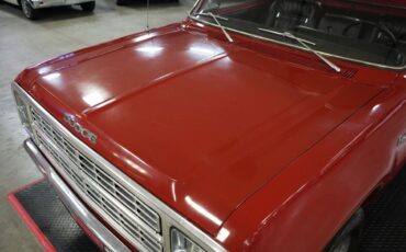Dodge-Other-Pickups-1979-Pickup-Truck-30