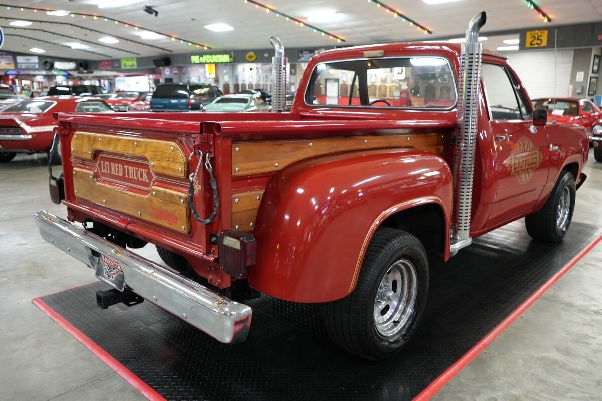 Dodge-Other-Pickups-1979-Pickup-Truck-39