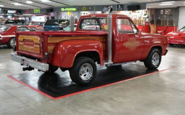 Dodge-Other-Pickups-1979-Pickup-Truck-5