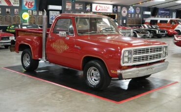 Dodge-Other-Pickups-1979-Pickup-Truck-7