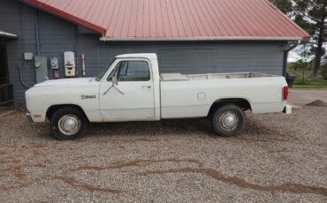 Dodge-Other-Pickups-1982-Standard-Cab-Pickup-3
