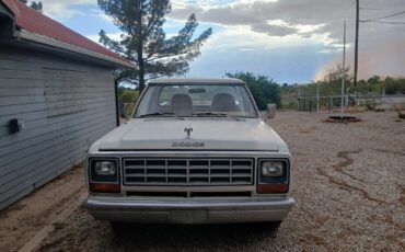 Dodge-Other-Pickups-1982-Standard-Cab-Pickup