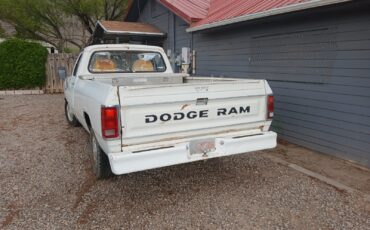 Dodge-Other-Pickups-1982-Standard-Cab-Pickup-4