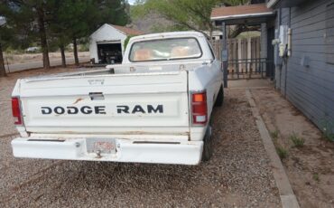 Dodge-Other-Pickups-1982-Standard-Cab-Pickup-5