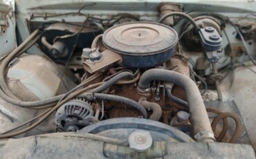 Dodge-Other-Pickups-1982-Standard-Cab-Pickup-8