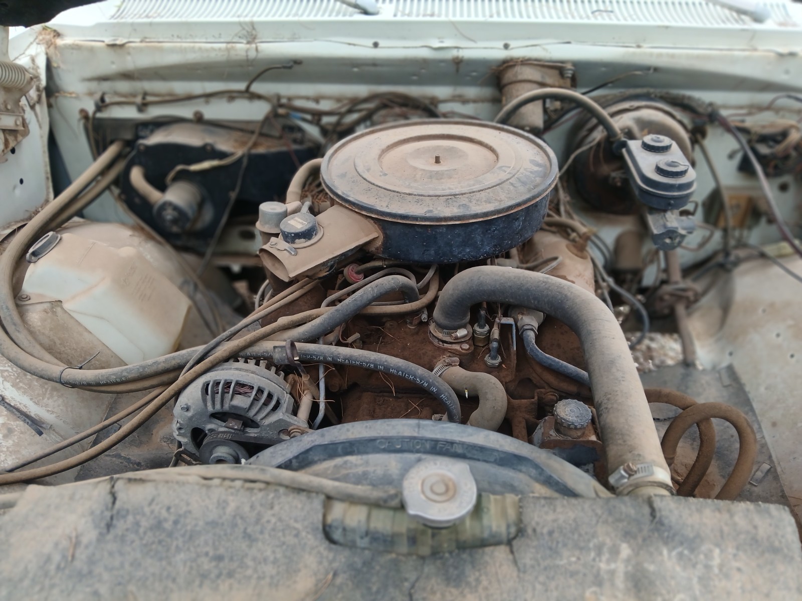 Dodge-Other-Pickups-1982-Standard-Cab-Pickup-8