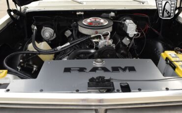 Dodge-Other-Pickups-1987-pickup-18