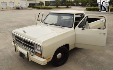 Dodge-Other-Pickups-1987-pickup-31