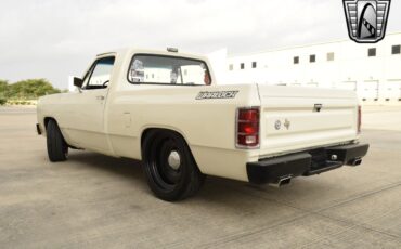 Dodge-Other-Pickups-1987-pickup-37