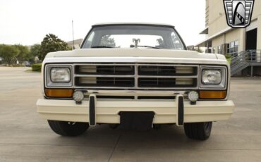 Dodge-Other-Pickups-1987-pickup-5